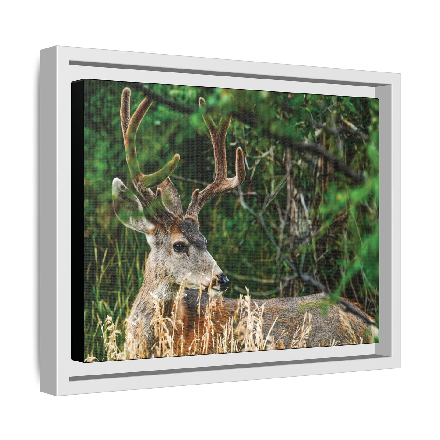 Framed Deer Wall Art, Rustic Home Decor, Nature Photography Print, Wildlife Gift, Cabin Art, Living Room Decoration