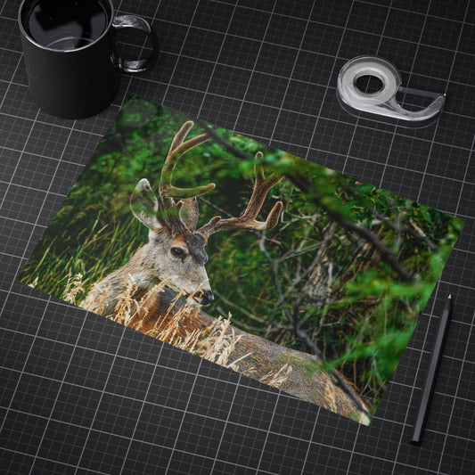Nature-Inspired Unframed Print of The Cuchara Deer, Wildlife Wall Art, Rustic Home Decor, Gift for Animal Lovers, Nature Photography