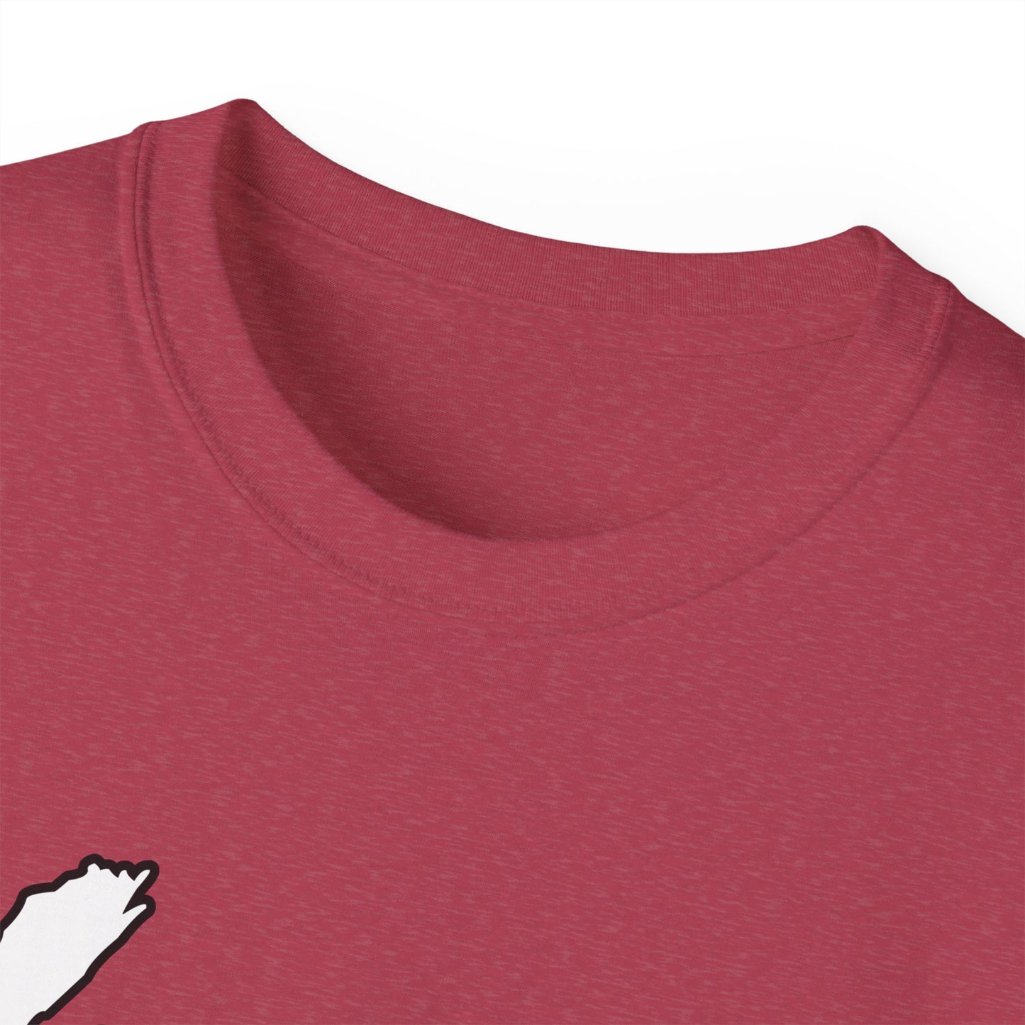 Unisex Ultra Cotton Tee