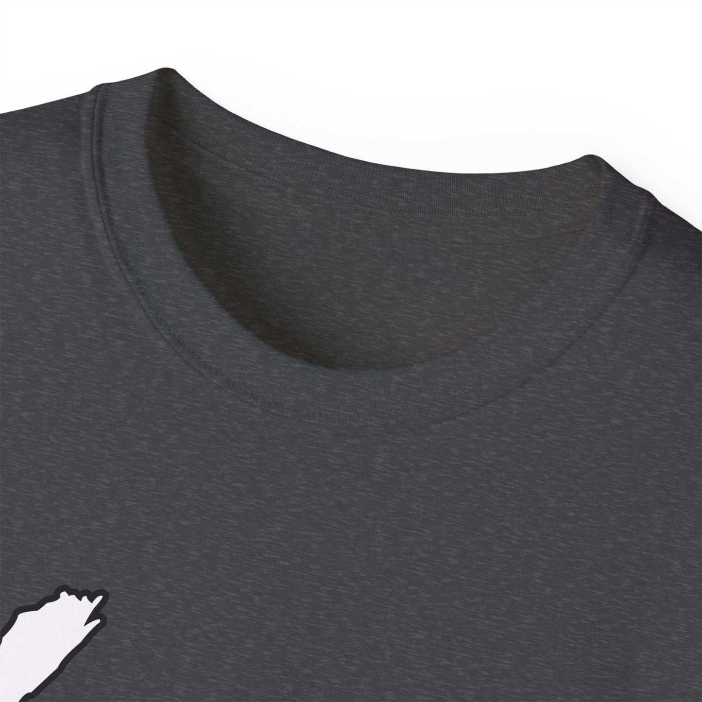 Unisex Ultra Cotton Tee