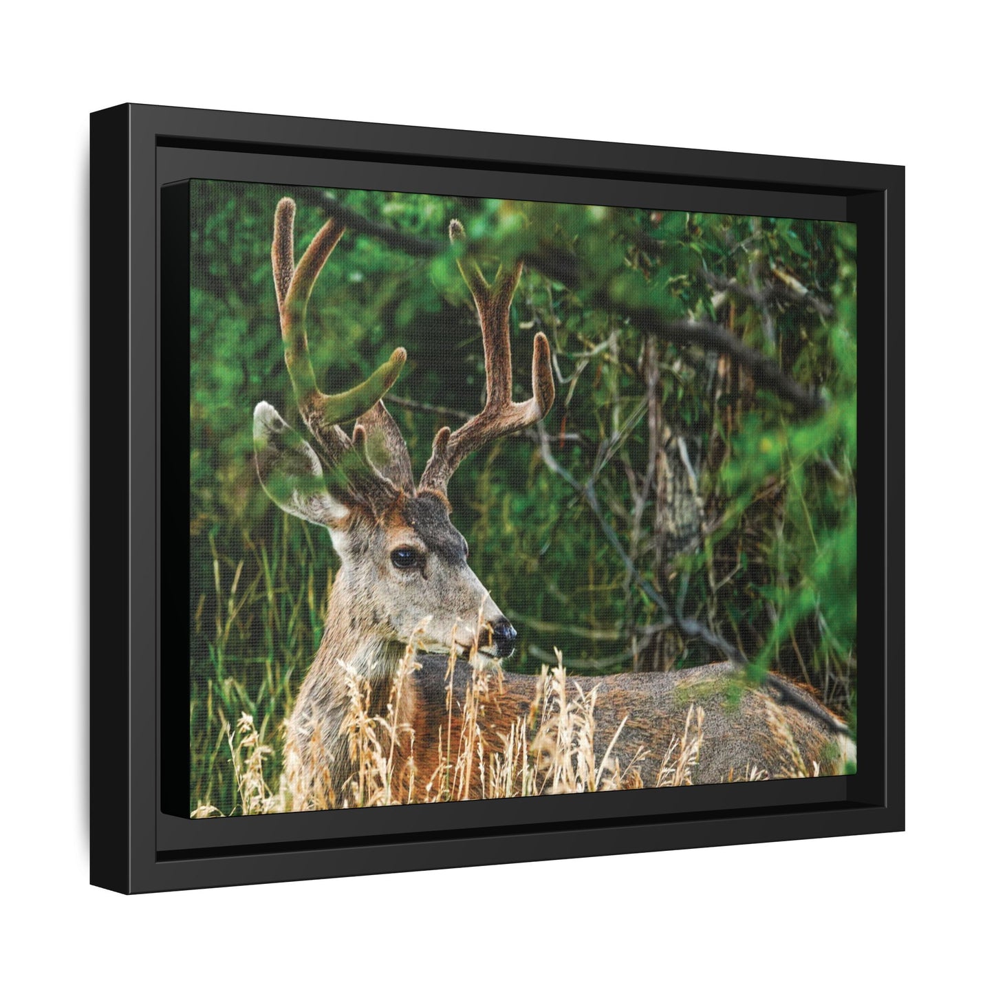 Framed Deer Wall Art, Rustic Home Decor, Nature Photography Print, Wildlife Gift, Cabin Art, Living Room Decoration