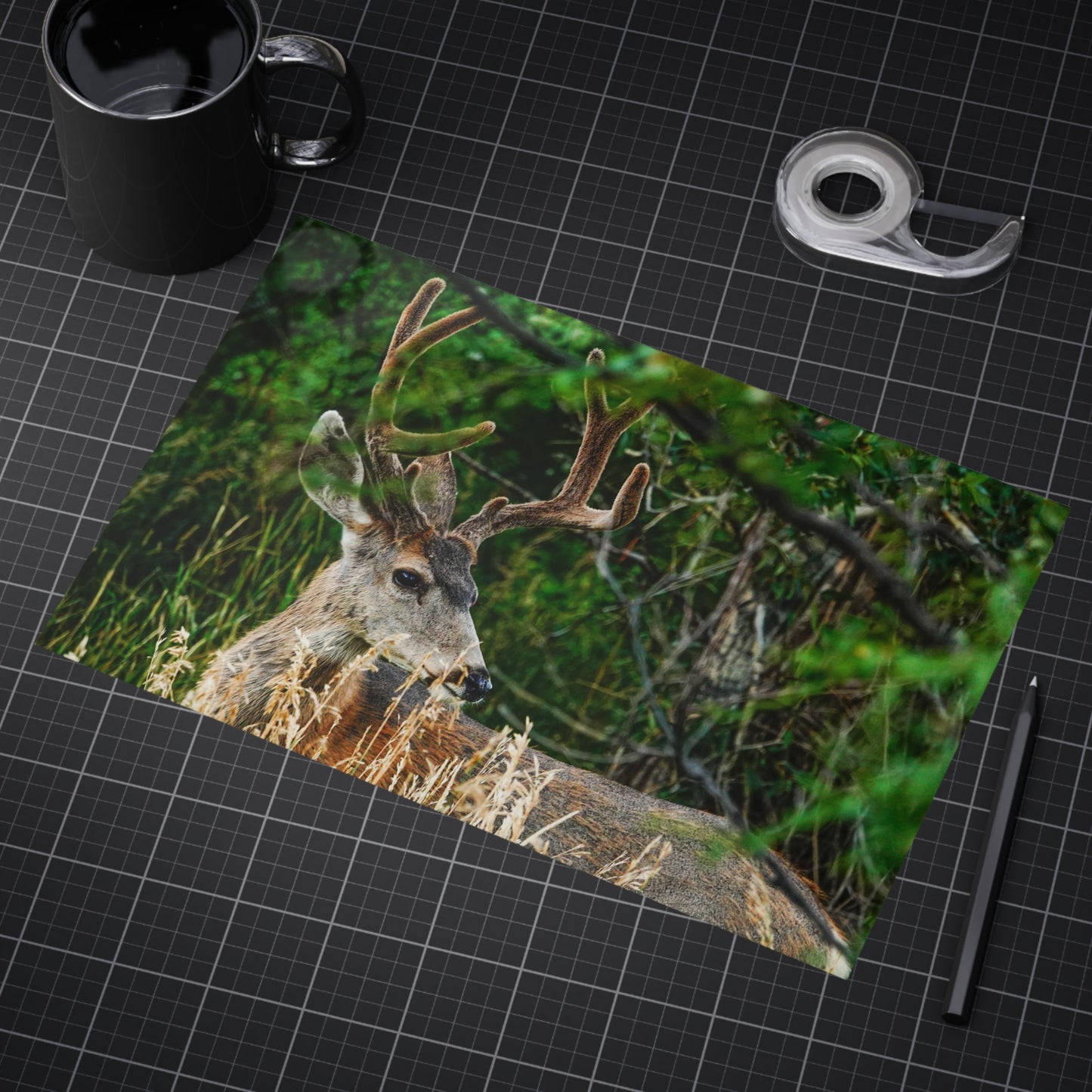 Nature-Inspired Unframed Print of The Cuchara Deer, Wildlife Wall Art, Rustic Home Decor, Gift for Animal Lovers, Nature Photography