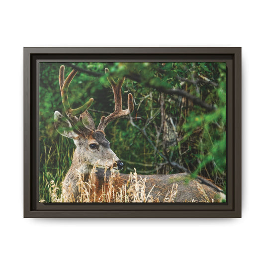 Framed Deer Wall Art, Rustic Home Decor, Nature Photography Print, Wildlife Gift, Cabin Art, Living Room Decoration
