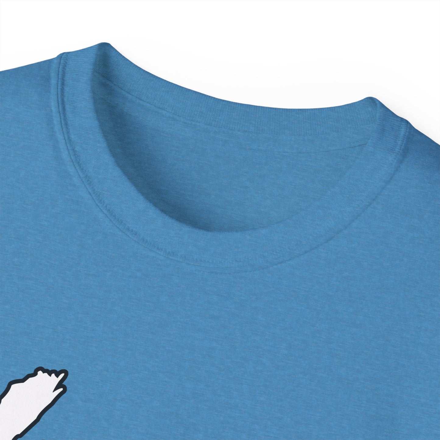 Unisex Ultra Cotton Tee