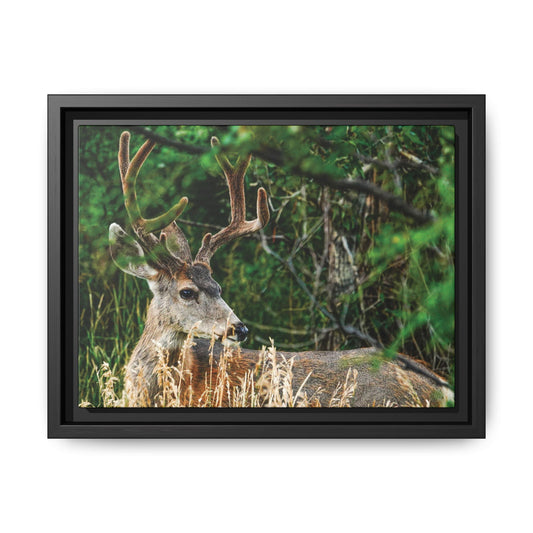 Framed Deer Wall Art, Rustic Home Decor, Nature Photography Print, Wildlife Gift, Cabin Art, Living Room Decoration