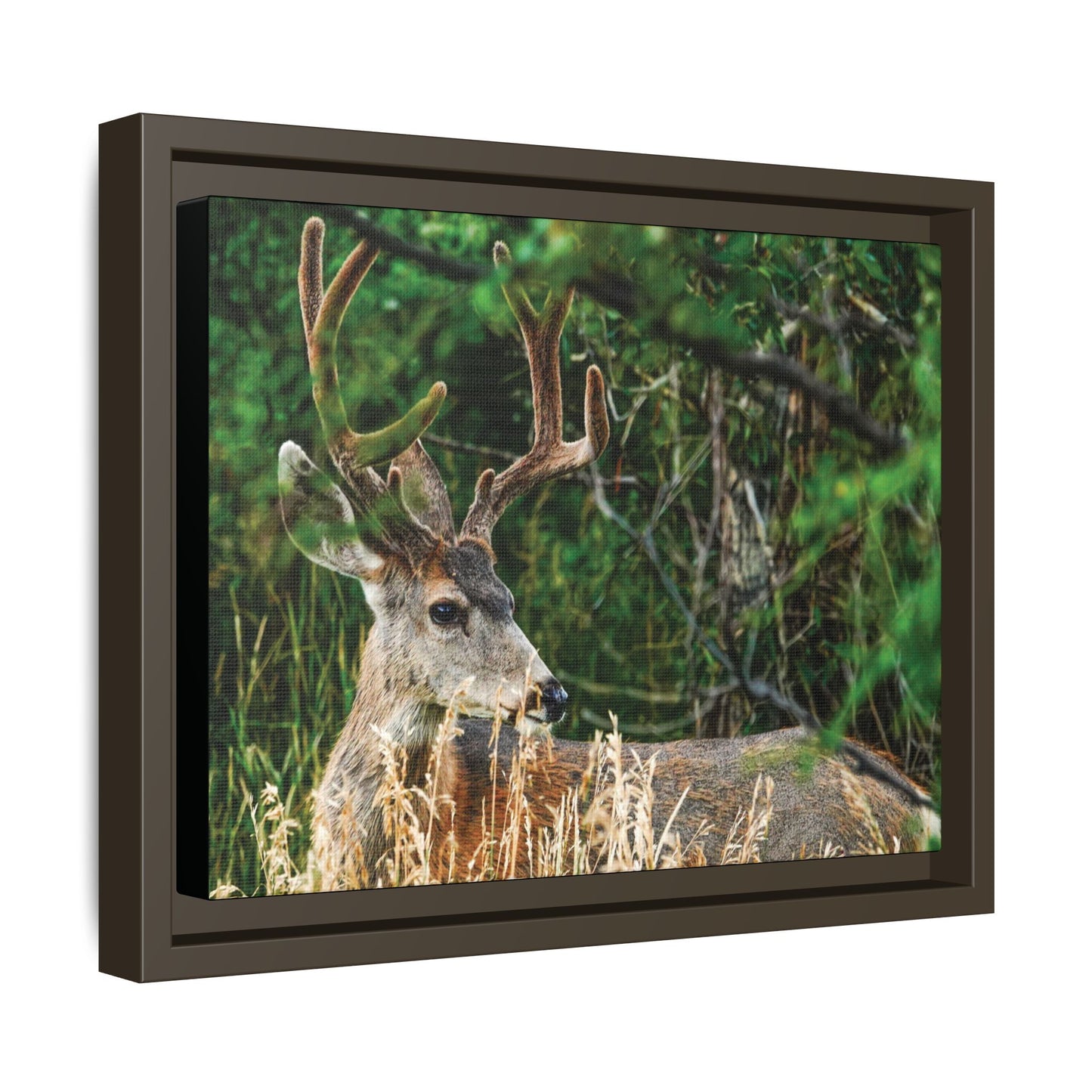 Framed Deer Wall Art, Rustic Home Decor, Nature Photography Print, Wildlife Gift, Cabin Art, Living Room Decoration